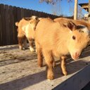 Eric Reiff - @eareiff - Twitter