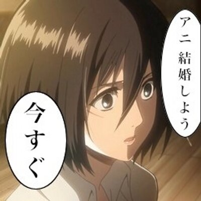 アニが好き過ぎるミカサbot Mikani Bot Twitter