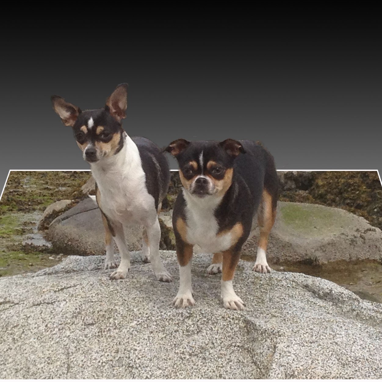 TerryPaugh's profile picture. 