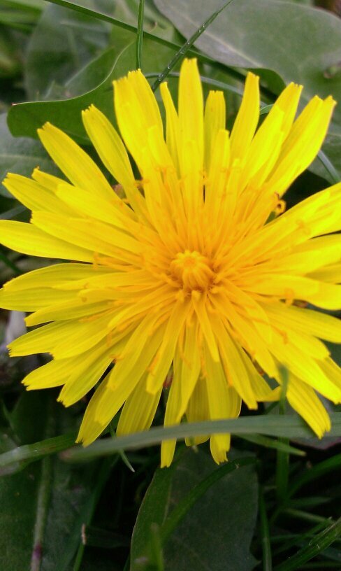 vladka24's profile picture. Nedovoľte aby vás negatívne veci ovplyvnili, choďte do toho. Bojujte o svoje sny. Nikdy sa nevzdávajte, jedného dňa svoj sen dosiahnete.