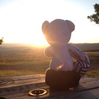 The Adventure Bear (@AdventureBear5) 's Twitter Profile Photo