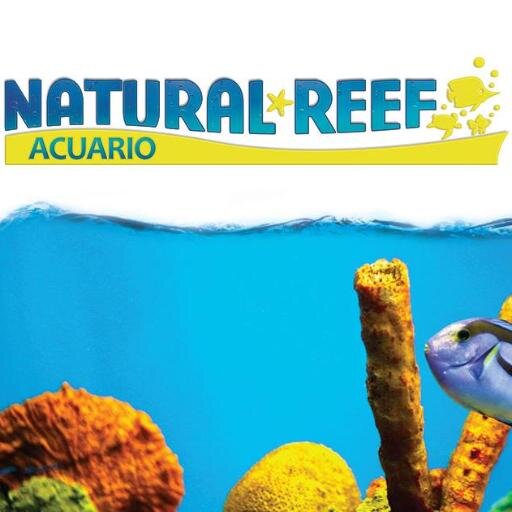 Venta de peces marinos y agua dulce, corales, peceras, accesorios, asesorias, en Villahermosa Tabasco.