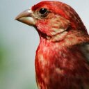 Rodney Huffman - @rodneyhuffman - Twitter