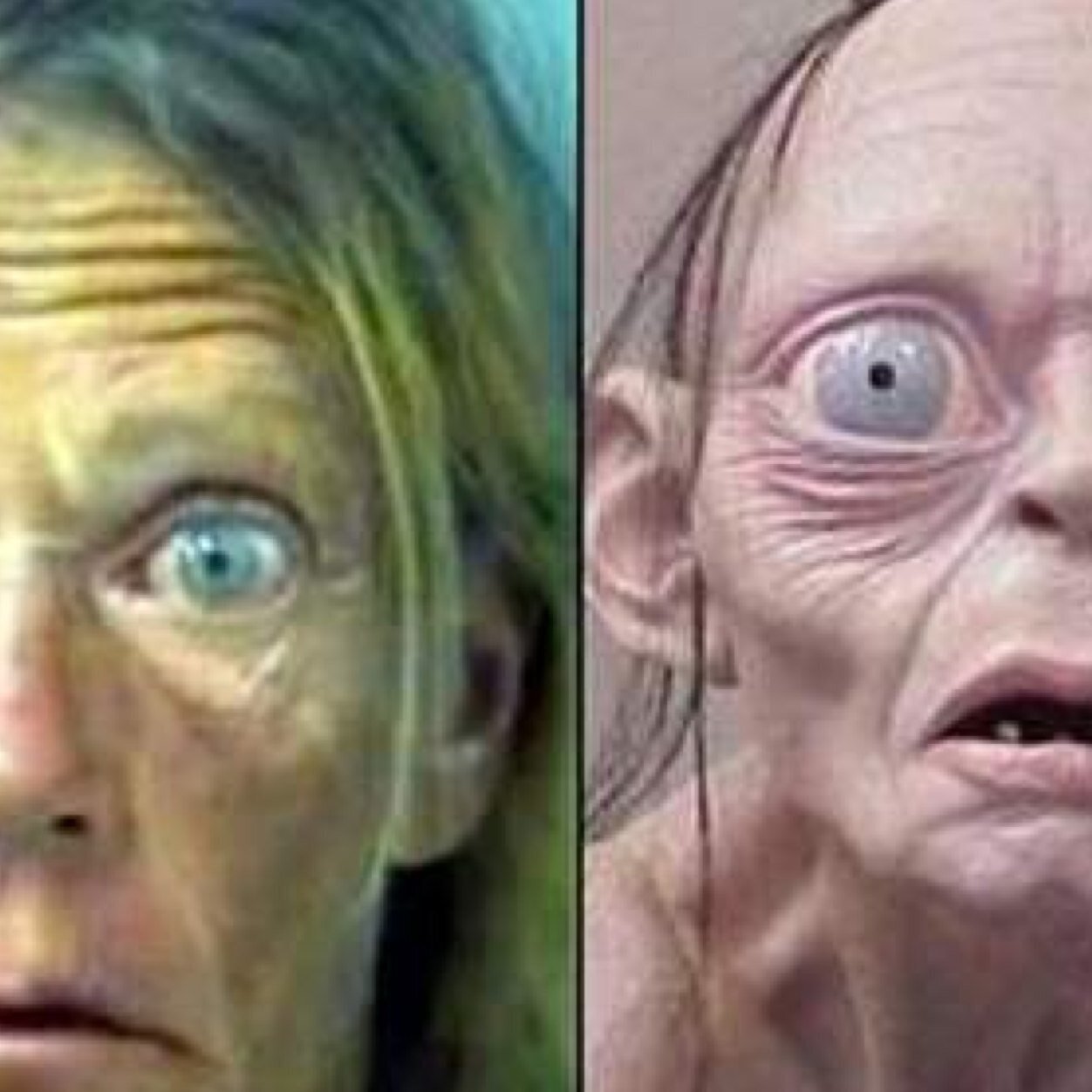 COMPARlNGx's profile picture. The most hilarious comparison. We don't claim any right to the pictures we post.