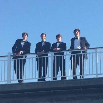 Reeseling_'s profile picture. 