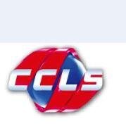 CCLS offers ESL, Portuguese and Spanish Classes at our location or online.