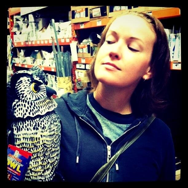 cherylcstern's profile picture. 