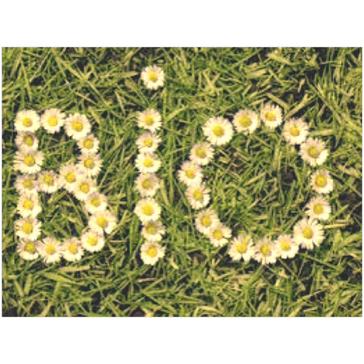 Please follow @narrysdoughnuts thankyou i love you.