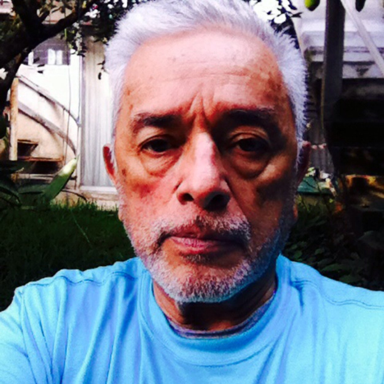 interesado profundamente en la era digital a mi edad