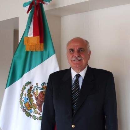 Embajador ante la Comunidad Económica Europea, Bélgica y Luxemburgo. Cónsul General en Toronto, Canadá. Actualmente, Cónsul de México en Nueva Orleans.