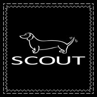 SCOUT (@scoutbags) 's Twitter Profile