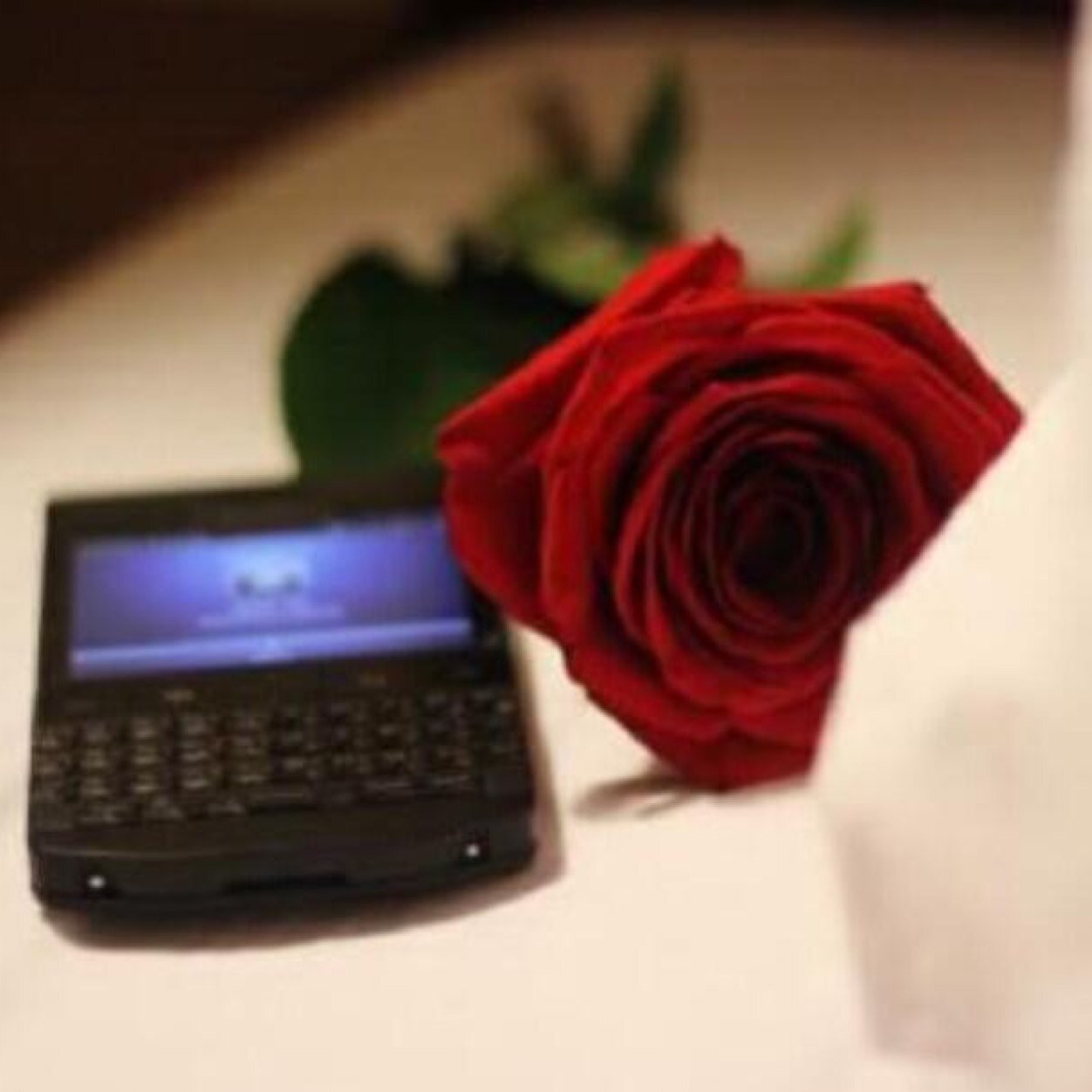 ‏‏‏لا تسوون فولو هني ، سوو هني ‎‎‎@Noura_A309