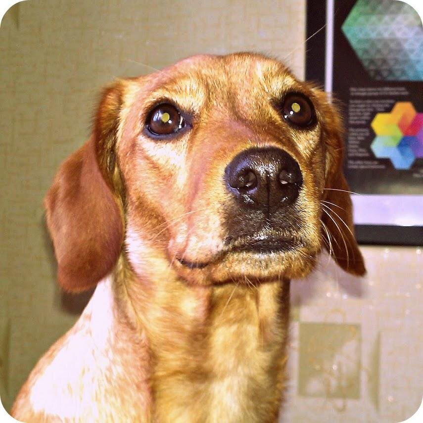 yaroshevich Profile Picture