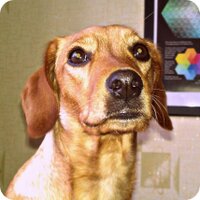Alexej Yaroshevich (@yaroshevich) 's Twitter Profile Photo Alexej Yaroshevich (@yaroshevich) 's Twitter Profile Photo