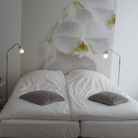 B&B de Ontdekking (@bnbdeontdekking) 's Twitter Profile Photo