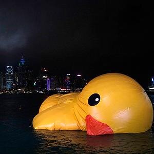 AaronMMcD's profile picture. Analog architect moving into the digital