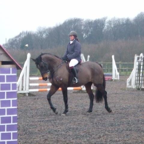 Managing Director of Horsebox seating and padding International ltd, International wagon driver, showjumper, caffeine addict and 1 very lucky mummy!