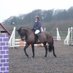 Becky Day (@horseboxpadding) Twitter profile photo
