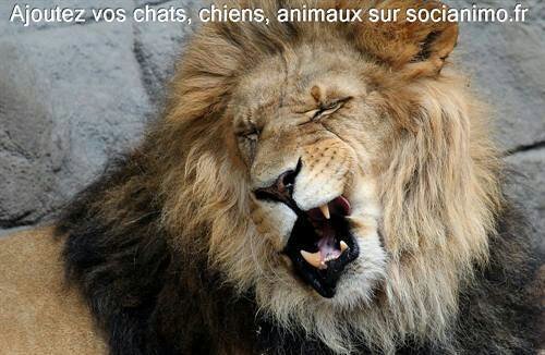 jean74053910's profile picture. 