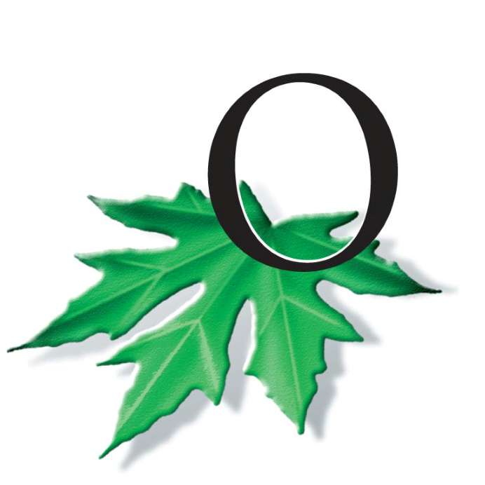 OakwoodAthletic's profile picture. 