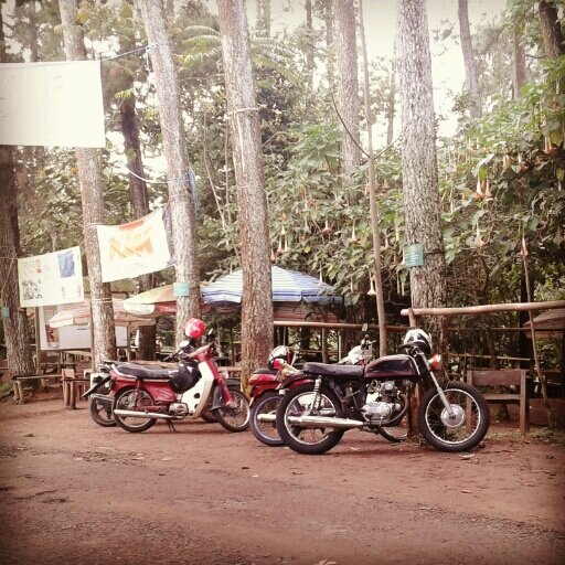 cornelyusbarus's profile picture. • Anak 1 dari 3 bersaudara
 • Scorpio
 • Catholic Rome
 • INTERNAZIONALE
 • Hobby : makan & tidur
 • Cita-cita : Jadi Presiden