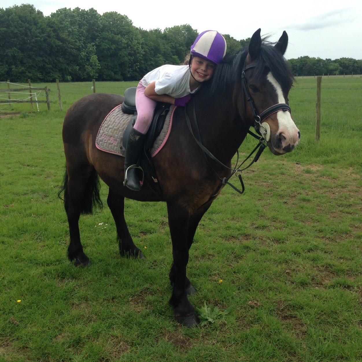 My name is Poppy, I have 2 ponies called Izzy and Tinkerbelle, and I'm looking after 2 called Biscuit and Pearl.