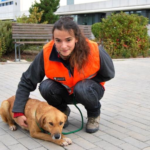 Veterinaria, defensora de animales, lucho día a día por un mejor país