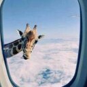 Frank Quinlan - @quinlan_frank - Twitter