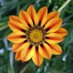 Marci Davis (@chickadm1) Twitter profile photo Marci Davis (@chickadm1) Twitter profile photo