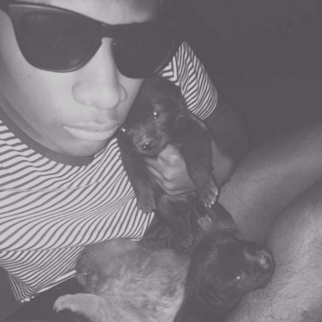 FlNESSER's profile picture. 