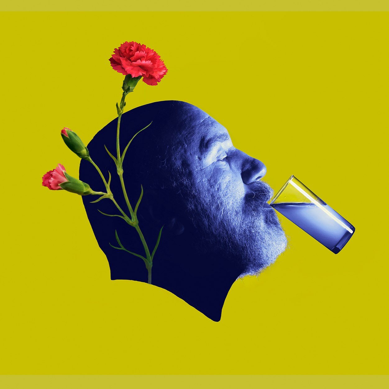 sabahlarolmsnn's profile picture. 