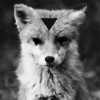 D▲RTH F▼X (@darthfox666) 's Twitter Profile