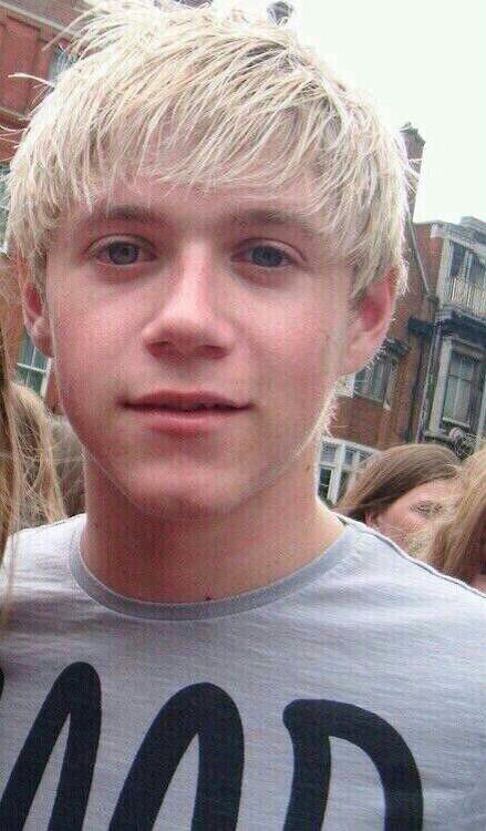 niall è il mio attimo di calma tra le parole ecchecazzo e vaffanculo