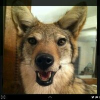Dean Redner (@rednerdean) 's Twitter Profile