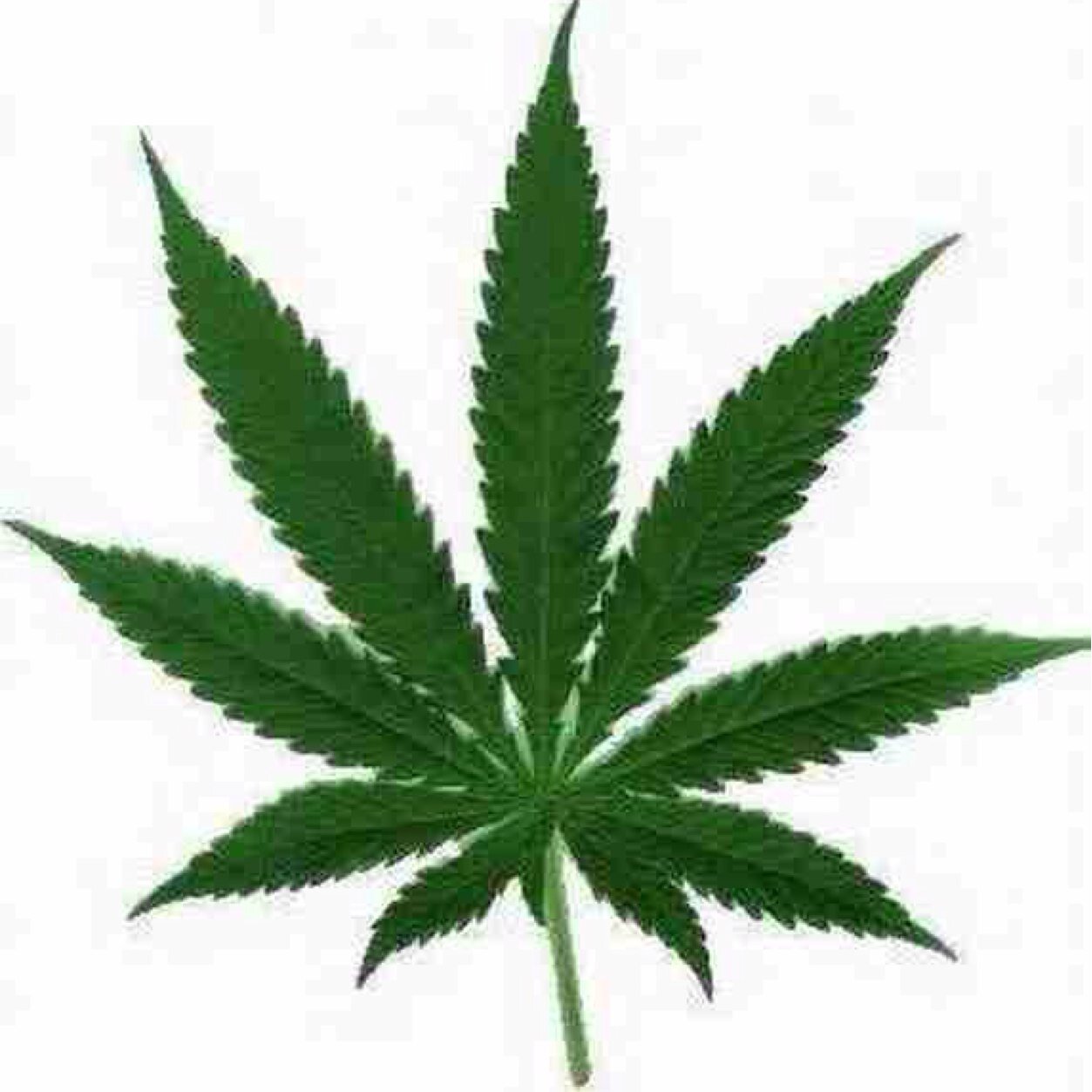 Live the high life or no life.