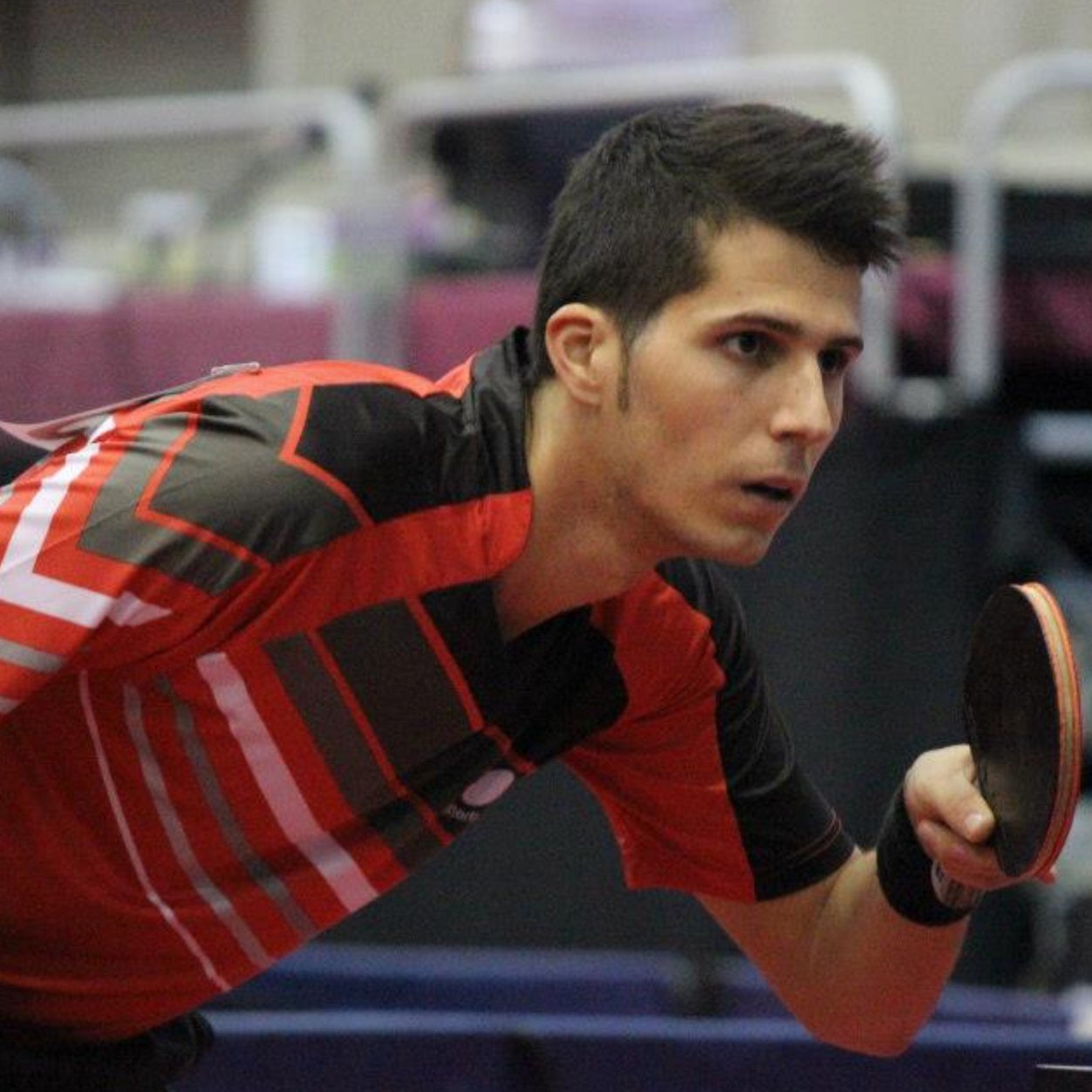 O_Monzo's profile picture. Table Tennis player