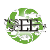 CSEE_SCEE (@csee_scee) 's Twitter Profile