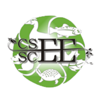 CSEE_SCEE(@CSEE_SCEE) 's Twitter Profile Photo