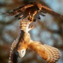 Mark Turton - @markturton33 - Twitter