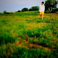 たろう (@_taro_) 's Twitter Profile