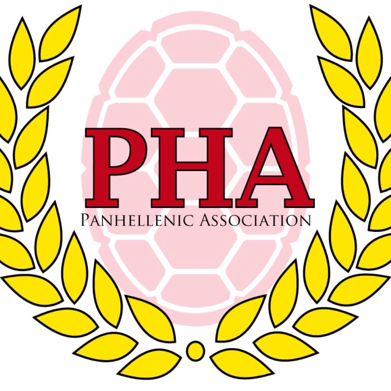 UMDPanhellenic Profile Picture