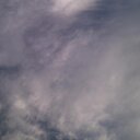 leticia padron - @PadronLeticia - Twitter