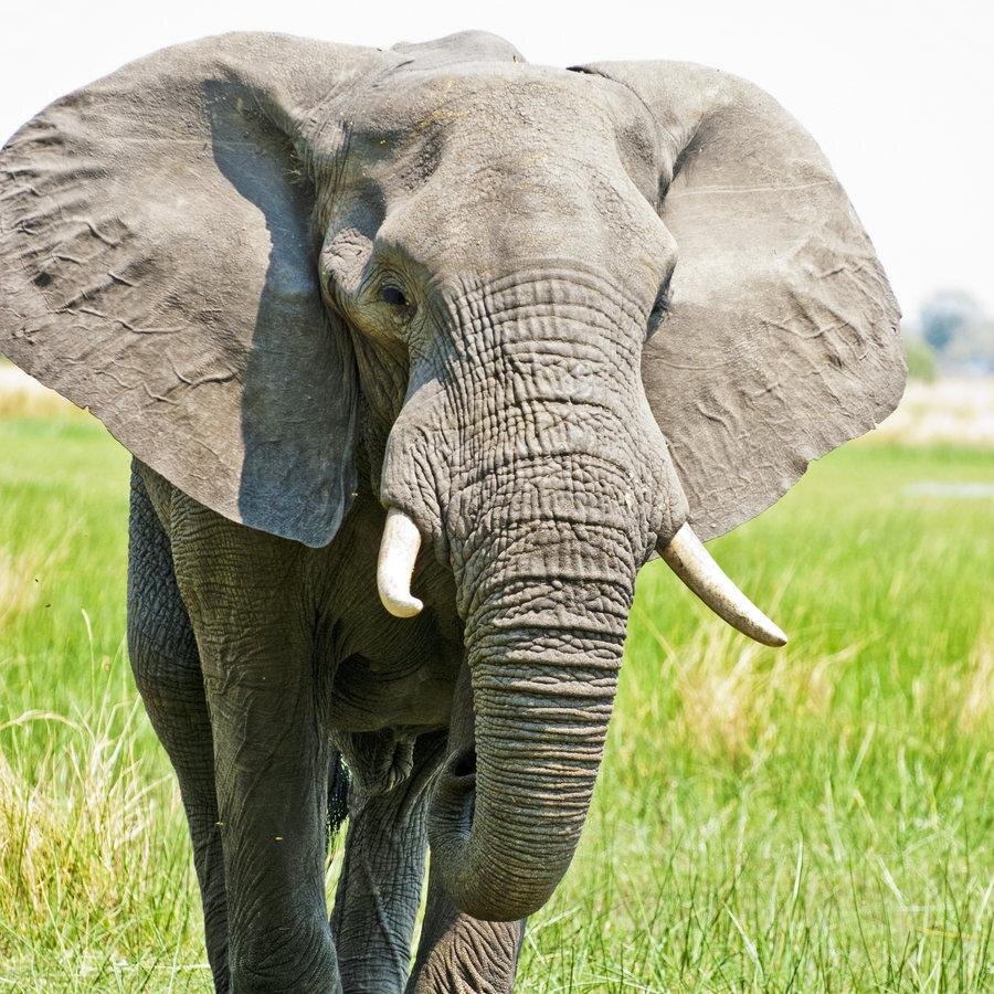 DarronShaffer's profile picture. 