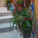 Fabio Bernardo - @b6e86e59c8dc4d1 - Twitter