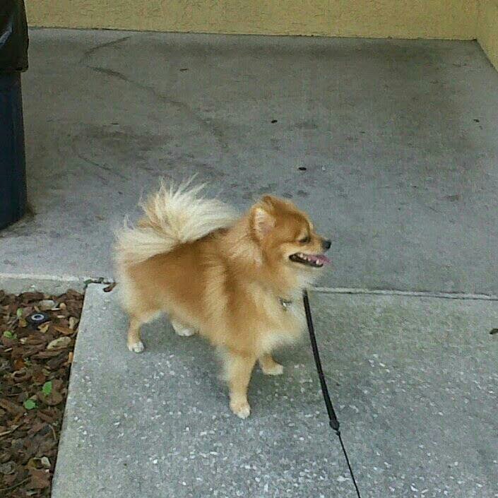 QUEPEARL7's profile picture. 