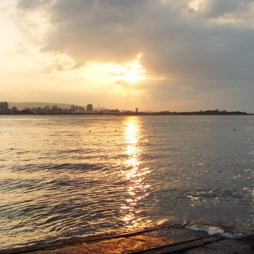 RandMajdii's profile picture. I