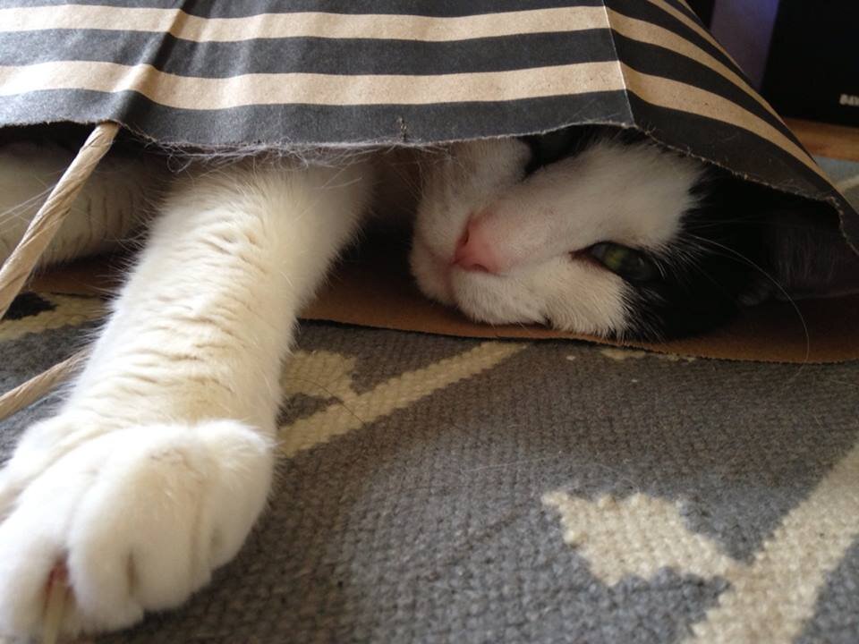 appa32_marz's profile picture. 