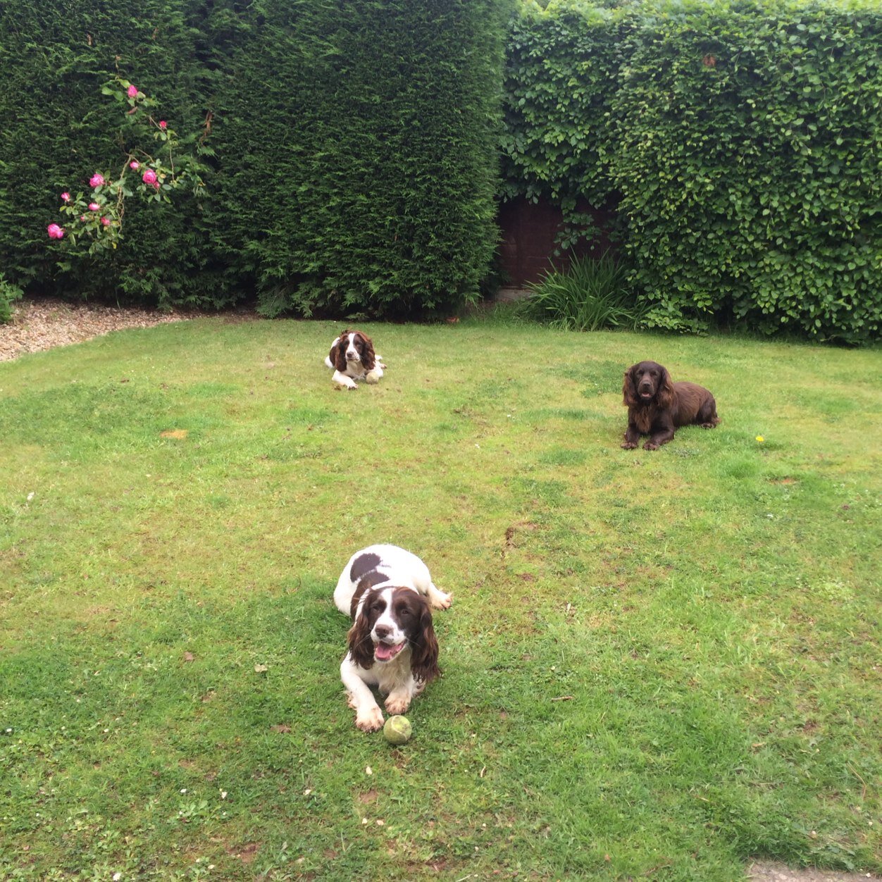 barrybazwr450's profile picture. 