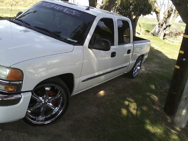 feliperojas2828's profile picture. 