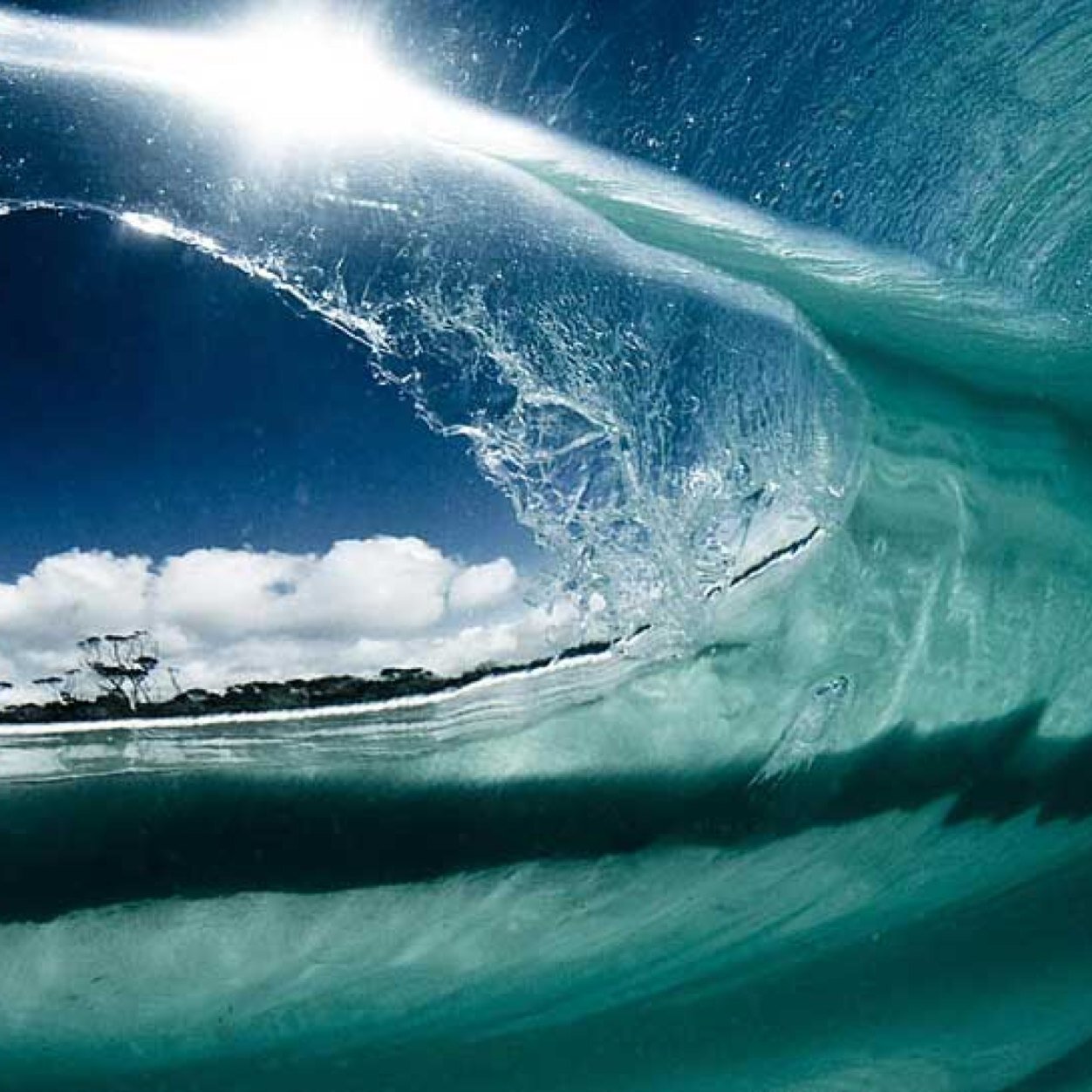 edeymorales's profile picture. 